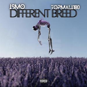 Different Breed (feat. Topmali180) [Explicit]