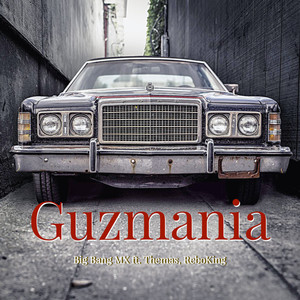 Guzmania (Explicit)