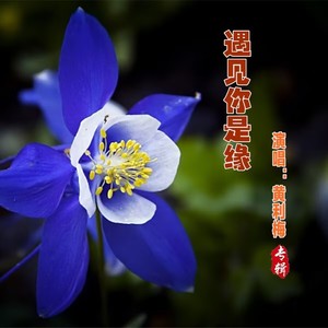 遇见你是缘 (女版)