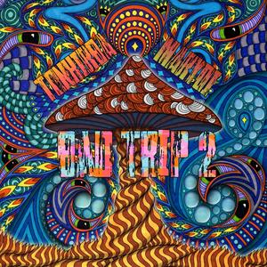 Bad Trip 2 (Original Mix)