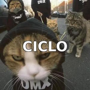 CICLO (Explicit)
