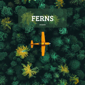 Ferns