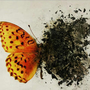 Song Of The Refugee (feat. Dane Foxx)