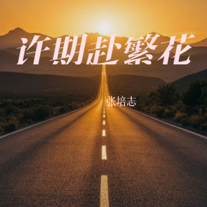 许期赴繁花 (Live) - 张培志封面