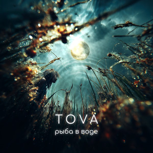 Рыба в воде