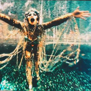 Animal (feat. Jp minerali)