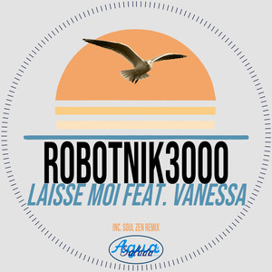 Laisse Moi (Soul Zen Remix)
