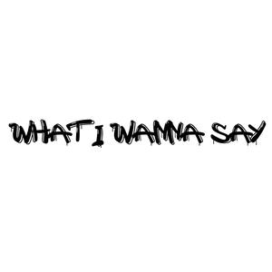 What I Wanna Say (Explicit)