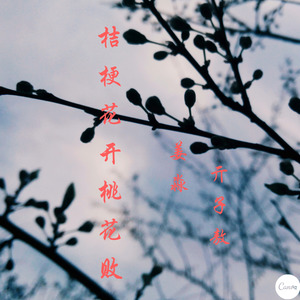 桔梗花开桃花败