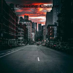 Counting Counter