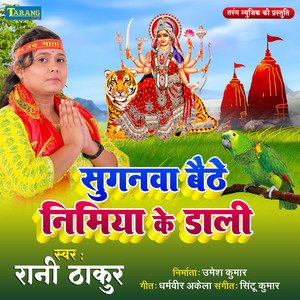 Sugnwa Baithe Nimiya Ke Dali