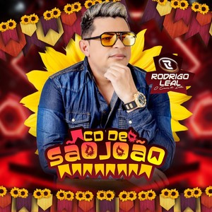 Não Faria as Coisas