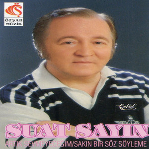 Artık Sevmeyeceğim