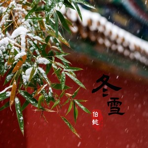 冬雪