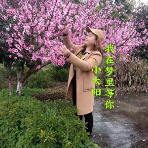 我在梦里等你