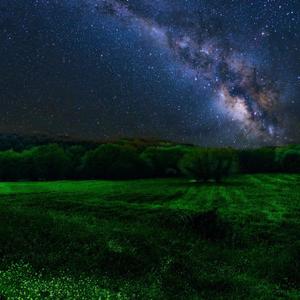 Rough Year (Tribute) (Explicit)