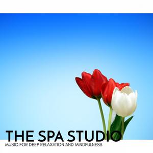 The Spa Studio - Music for Deep Relaxation and Mindfulness