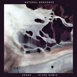 Seeds (Kiyán Remix)