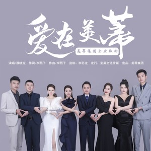 爱在美蒂