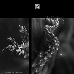 Bloom (Original Mix)