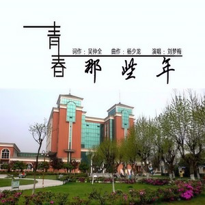 刘梦梅 - 青春那些年