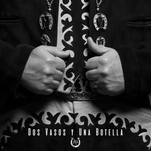 Dos Vasos y Una Botella
