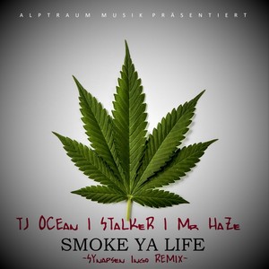 Smoke Ya Life (Synapsen Ingo Remix) [Explicit]