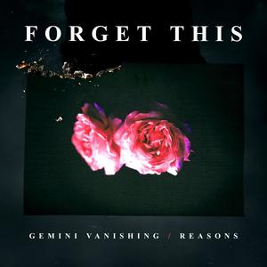 Gemini Vanishing / Reasons