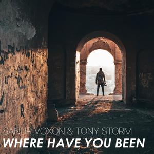 Where Have You Been(feat. Tony Storm)