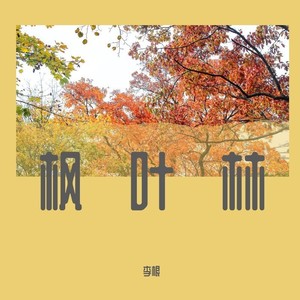 枫叶林（钢琴曲）