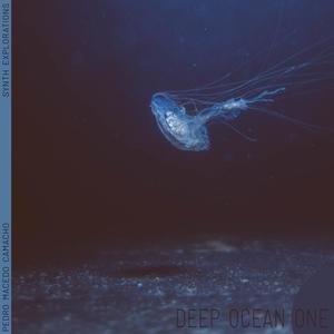 Deep Ocean One