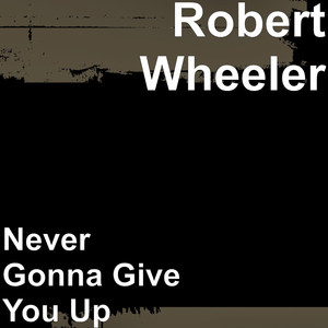 Never Gonna Give You Up