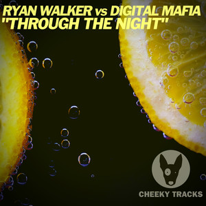 Ryan Walker (DJ) - Through The Night (Original Mix)