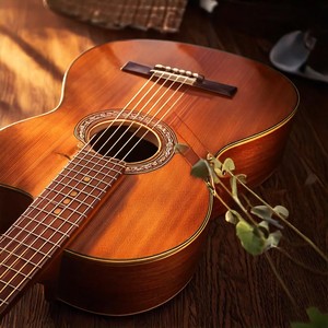 Strings of Harmony: Peaceful Guitar Music