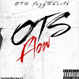 OTS Flow (Explicit)