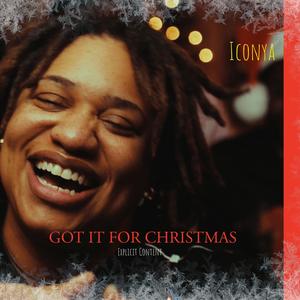 Got It For Christmas (Explicit)