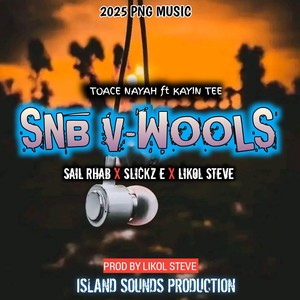 Snb V-Wools