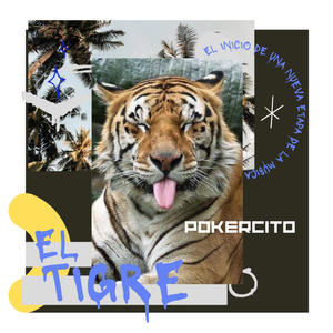 Pokercito - El Tigre