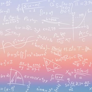 ビーナスベルト