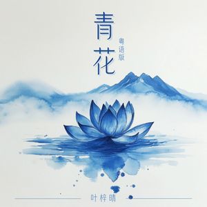 青花 (国语)封面