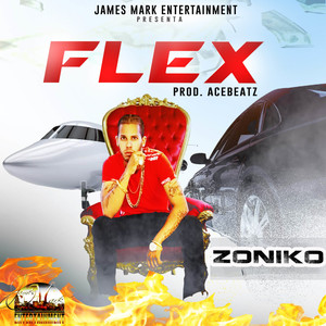 Flex (Single|Explicit)