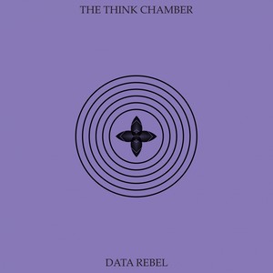 Data Rebel - C- Thru (Original Mix)