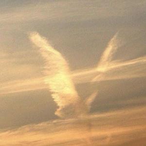 The Man (feat. Zay-TOL & 4eva)