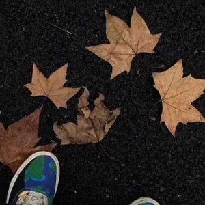 404Hz - 我真的爱你 (爱本质无异)