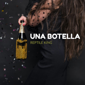 Una Botella