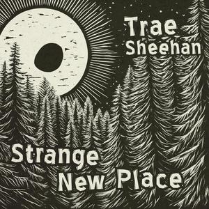 Strange New Place (Explicit)