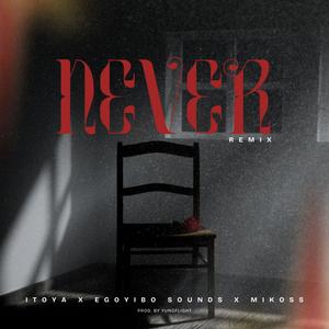 Never (feat. Egoyibo sounds & Mikoss) (Remix|Explicit)