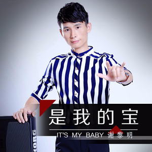 是我的宝 (伴奏)