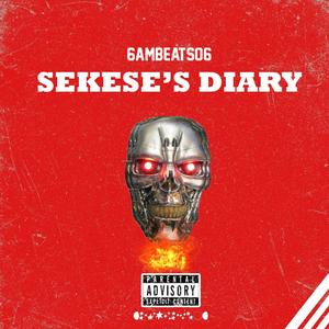 SEKESE'S DIARY