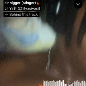 sir nigger ('23) [stinger] (Explicit)